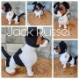 jack russel